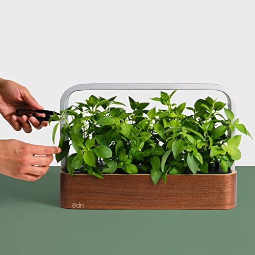 edn SmallGarden with Basil SeedPods, Indoor Grow Smart Garden Starter Kit for Fresh Home Grown Herbs, Plants and Flowers