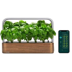 edn SmallGarden with Basil SeedPods, Indoor Grow Smart Garden Starter Kit for Fresh Home Grown Herbs, Plants and Flowers