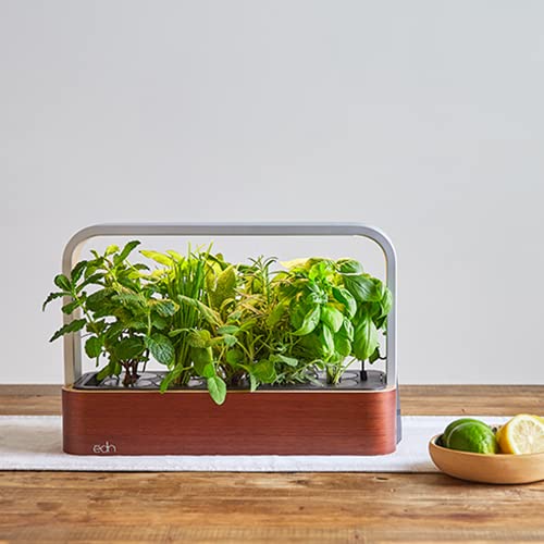 edn SmallGarden with Basil SeedPods, Indoor Grow Smart Garden Starter Kit for Fresh Home Grown Herbs, Plants and Flowers