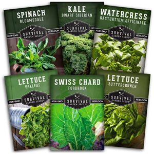 hydroponics vegetable seed collection for planting – watercress, spinach, siberian kale, swiss chard, buttercrunch, oakleaf lettuce varieties to grow indoors non-gmo heirloom survival garden seeds