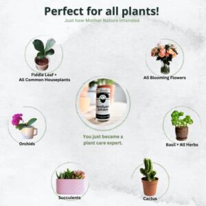 Chemical-Free Organic Indoor Plant Food + Fertilizer | Concentrated Blend, Best for Houseplants Like Succulent, Herb & Fiddle Leaf | Makes 13 Gallons