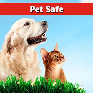 I Must Garden Ant Control - Kills & Repels - Pet & People Safe - Fast-Acting Natural Ant Repellent Spray for Indoor & Outdoor Use - 32oz Spray