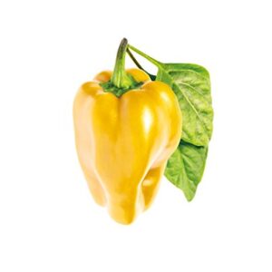 Click and Grow Smart Garden Yellow Sweet Pepper Plant Pods, 9-Pack
