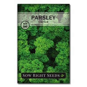 Sow Right Seeds - Curly Leaf Parsley Seed for Planting - Non-GMO Heirloom - Instructions to Plant and Grow a Kitchen Herb Garden, Indoor or Outdoor; Great Gardening Gift (1)
