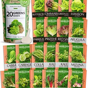 10,000+ Heirloom Lettuce Seeds for Planting Indoors - 95% Germination, Non-GMO Greens Seeds, (20 Varieties): Kale, Spinach, Butter, Oak, Romaine Bibb & More - Lettuce Seeds for Hydroponic Home Garden