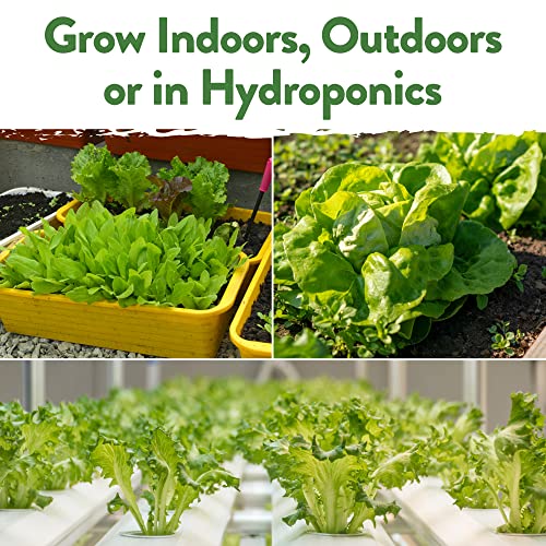 10,000+ Heirloom Lettuce Seeds for Planting Indoors - 95% Germination, Non-GMO Greens Seeds, (20 Varieties): Kale, Spinach, Butter, Oak, Romaine Bibb & More - Lettuce Seeds for Hydroponic Home Garden