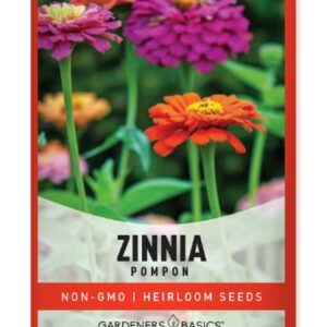 Zinnia Seeds for Planting Outdoors (Pompon) Flower Seed Packet Annual Flower Heirloom, Non-GMO Variety- 800mg Seeds Great for Summer Seeds for Flower Gardens by Gardeners Basics