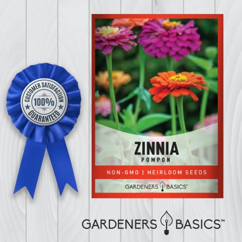 Zinnia Seeds for Planting Outdoors (Pompon) Flower Seed Packet Annual Flower Heirloom, Non-GMO Variety- 800mg Seeds Great for Summer Seeds for Flower Gardens by Gardeners Basics