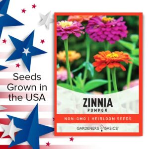 Zinnia Seeds for Planting Outdoors (Pompon) Flower Seed Packet Annual Flower Heirloom, Non-GMO Variety- 800mg Seeds Great for Summer Seeds for Flower Gardens by Gardeners Basics