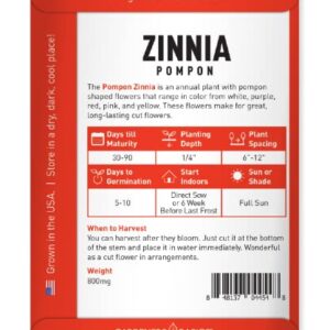 Zinnia Seeds for Planting Outdoors (Pompon) Flower Seed Packet Annual Flower Heirloom, Non-GMO Variety- 800mg Seeds Great for Summer Seeds for Flower Gardens by Gardeners Basics