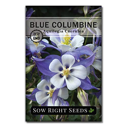 Sow Right Seeds - Blue Columbine Flower Seeds for Planting, Beautiful Flowers to Plant in Your Garden; Non-GMO Heirloom Seeds; Wonderful Gardening Gifts (1)