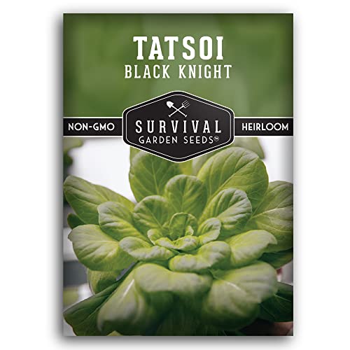 Survival Garden Seeds - Black Knight Tatsoi Seed for Planting - Packet with Instructions to Plant and Grow Delicious Asian Mustard Greens in Your Home Vegetable Garden - Non-GMO Heirloom Variety…