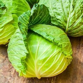 Brunswick Cabbage Seeds for Planting, 300+ Heirloom Seeds Per Packet, (Isla's Garden Seeds), Non GMO Seeds, Botanical Name: Brassica oleracea, Great Home Garden Gift