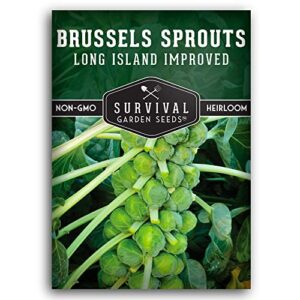 survival garden seeds – long island improved brussels sprouts for planting – packet with instructions to plant and grow delicious sweet sprouts in the home vegetable garden – non-gmo heirloom variety
