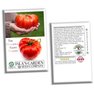 "The Delicious Giant" Beefsteak Tomato Seeds for Planting, 50+ Heirloom Seeds Per Packet, Non GMO Seeds, Botanical Name: Solanum lycopersicum, Can Grow to 1 Pound! Great Gift