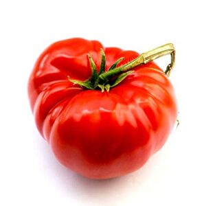 "The Delicious Giant" Beefsteak Tomato Seeds for Planting, 50+ Heirloom Seeds Per Packet, Non GMO Seeds, Botanical Name: Solanum lycopersicum, Can Grow to 1 Pound! Great Gift