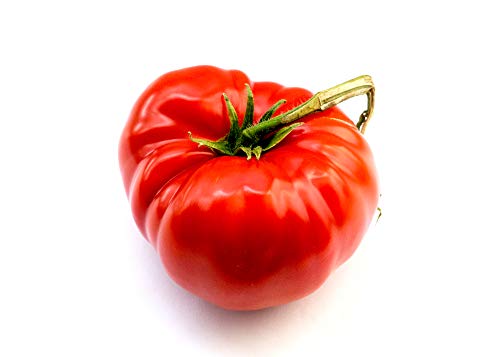 "The Delicious Giant" Beefsteak Tomato Seeds for Planting, 50+ Heirloom Seeds Per Packet, Non GMO Seeds, Botanical Name: Solanum lycopersicum, Can Grow to 1 Pound! Great Gift