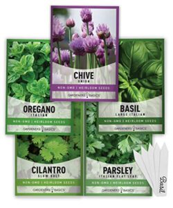 culinary herb seeds for planting indoors and outdoors 5 herbs seed packets including basil, cilantro, chives, oregano, and parsley – great for kitchen herb garden heirloom herb seeds – gardners basics