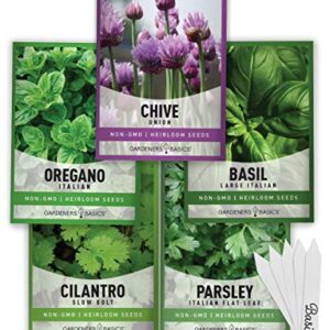 Culinary Herb Seeds For Planting Indoors and Outdoors 5 Herbs Seed Packets Including Basil, Cilantro, Chives, Oregano, and Parsley - Great for Kitchen Herb Garden Heirloom Herb Seeds - Gardners Basics