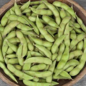 CHUXAY GARDEN Midori Giant Edamame Seed,Soybean 50 Seeds Green Healthy Vegetable Non-GMO Organic Vegetable Seeds Great for Cooking