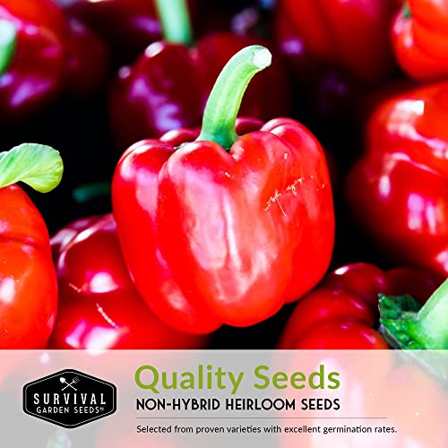 Survival Garden Seeds Sweet Pepper Collection Seed Vault - Non-GMO Heirloom Seeds for Planting - California Wonder Bell, Marconi Red, Cubanelle, Chocolate Beauty, and Big Red Peppers