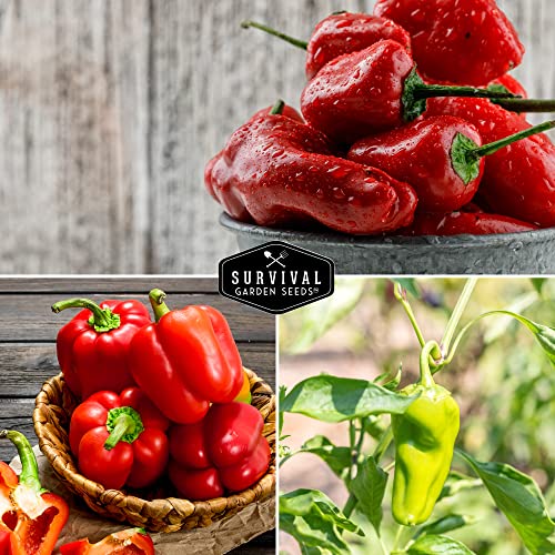 Survival Garden Seeds Sweet Pepper Collection Seed Vault - Non-GMO Heirloom Seeds for Planting - California Wonder Bell, Marconi Red, Cubanelle, Chocolate Beauty, and Big Red Peppers