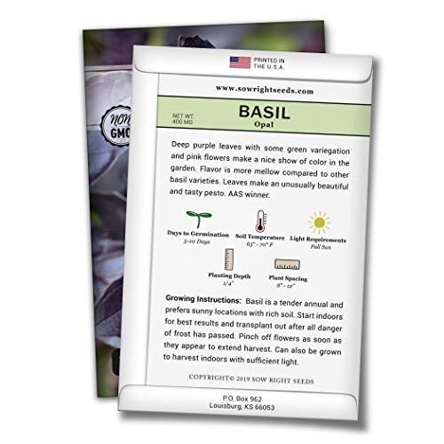 Sow Right Seeds - Opal Basil Seed for Planting - 500 Non-GMO Heirloom Seeds - Full Instructions for Easy Planting and Growing a Kitchen Herb Garden, Indoors or Outdoor; Great Gardening Gift (1)