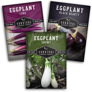 survival garden seeds eggplant collection seed vault – long purple italian eggplant and black beauty bell shaped eggplant for your homestead or vegetable garden – non-gmo heirloom seeds for planting
