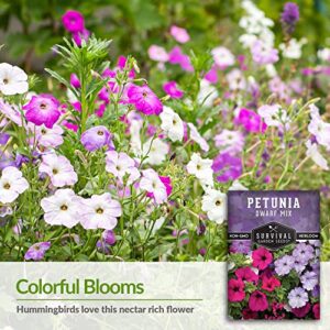 Survival Garden Seeds - Dwarf Petunia Seed Mix for Planting - 5 Packs with Instructions to Plant and Grow Colorful Flowers to Attract Pollinators to Your Home Garden - Non-GMO Heirloom Variety