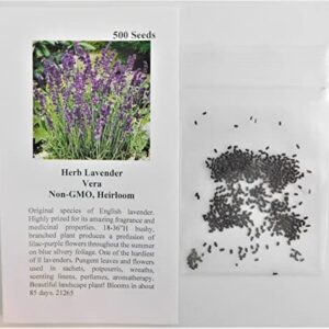 David's Garden Seeds Herb Lavender Vera 1199 (Purple) 200 Non-GMO, Heirloom Seeds