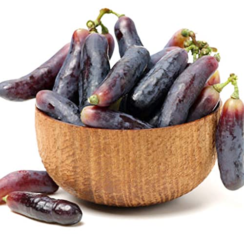 QAUZUY GARDEN 50 Witch Finger Grape Seeds Tear Drop Grapes, Sweet Sapphire Grapes - Premium Non-GMO Seeds - High Yield & Sweet & Tasty - Easy to Grow