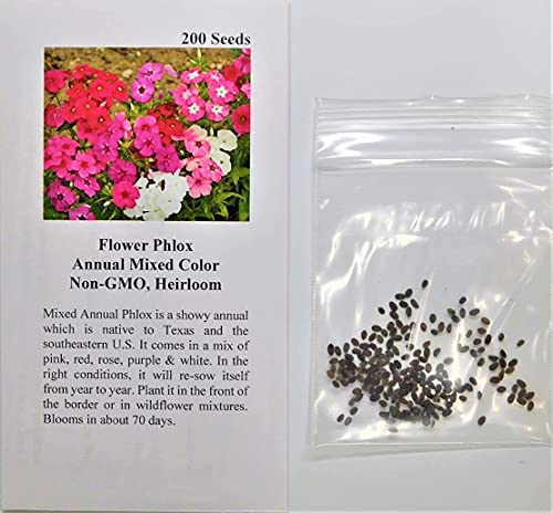 David's Garden Seeds Flower Phlox Annual Mixed Color (Multi) 200 Non-GMO, Heirloom Seeds