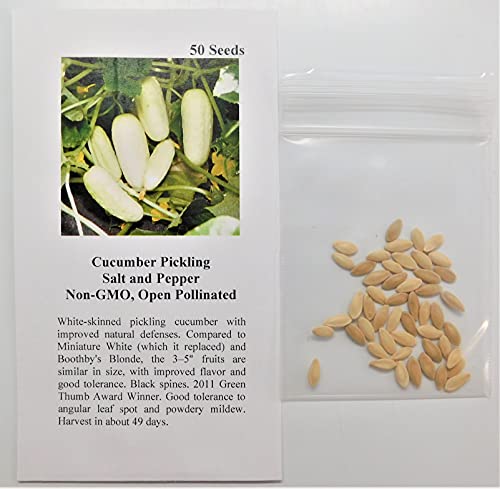 David's Garden Seeds Cucumber Pickling Salt and Pepper FBA-7764 (White) 25 Non-GMO, Open Pollinated Seeds