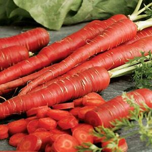 david’s garden seeds carrot atomic red 1251 (red) 200 non-gmo, heirloom seeds