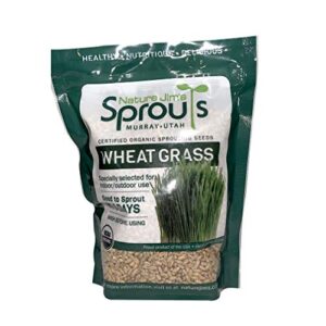 nature jims sprouts wheatgrass seeds – 100% organic wheat grass seed for sprouting – cat grass planter seeds, rich in vitamins, fiber and minerals – non-gmo, healthy wheatgrass sprout growing seed