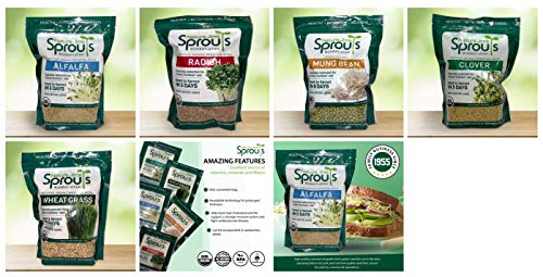 Nature Jims Sprouts Wheatgrass Seeds - 100% Organic Wheat Grass Seed for Sprouting - Cat Grass Planter Seeds, Rich in Vitamins, Fiber and Minerals - Non-GMO, Healthy Wheatgrass Sprout Growing Seed