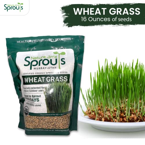 Nature Jims Sprouts Wheatgrass Seeds - 100% Organic Wheat Grass Seed for Sprouting - Cat Grass Planter Seeds, Rich in Vitamins, Fiber and Minerals - Non-GMO, Healthy Wheatgrass Sprout Growing Seed