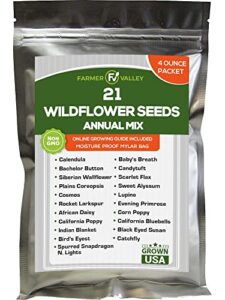 annual wildflower seeds mix to attract pollinators, butterflies, and birds – 100,000+ heirloom and non gmo flower garden seeds in bulk 4oz packet – 21 varieties for indoor and outdoor planting