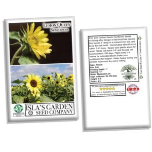 "Lemon Queen" Sunflower Seeds for Planting, 50+ Flower Seeds Per Packet, (Isla's Garden Seeds), Non GMO Seeds, Scientific Name: Helianthus annus, Great Home Garden Gift