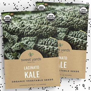 organic lacinato kale seeds – 2 seed packets! – over 500 open pollinated heirloom non-gmo usda organic seeds