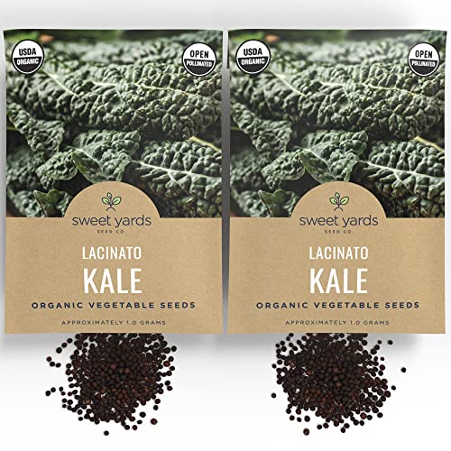 Organic Lacinato Kale Seeds - 2 Seed Packets! - Over 500 Open Pollinated Heirloom Non-GMO USDA Organic Seeds