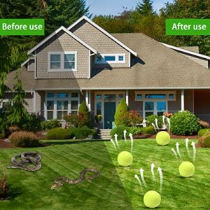 12 Pack Natural Snake Repellent Powerful Snake Away Repellent Balls for Yard Lawn Garden, Outdoors Snake Repelling,Pest Insect Control Indoor