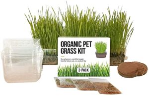 the cat ladies cat grass growing kit -organic seed, soil and bpa free containers (non gmo).locally sourced seeds! (3 pack)