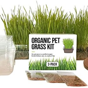 The Cat Ladies Cat Grass Growing Kit -Organic Seed, Soil and BPA Free containers (Non GMO).Locally sourced Seeds! (3 Pack)