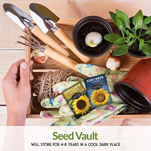 Survival Garden Seeds Edible Sunflower Seed Vault - Gigantic Flowers with Delicious Seeds - Mammoth Sunflower and Oil-Rich Black Russian Sunflower - Non-GMO Heirloom Seeds for Planting & Growing