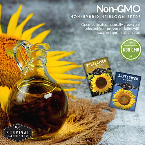 Survival Garden Seeds Edible Sunflower Seed Vault - Gigantic Flowers with Delicious Seeds - Mammoth Sunflower and Oil-Rich Black Russian Sunflower - Non-GMO Heirloom Seeds for Planting & Growing