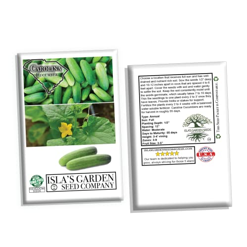 Carolina Cucumber Seeds for Planting, 100+ Heirloom Seeds Per Packet, (Isla's Garden Seeds), Non GMO Seeds, Botanical Name: Cucumis sativus, Great Home Garden Gift