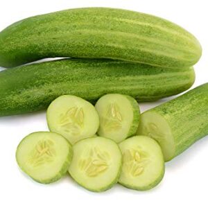 Carolina Cucumber Seeds for Planting, 100+ Heirloom Seeds Per Packet, (Isla's Garden Seeds), Non GMO Seeds, Botanical Name: Cucumis sativus, Great Home Garden Gift