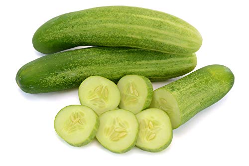 Carolina Cucumber Seeds for Planting, 100+ Heirloom Seeds Per Packet, (Isla's Garden Seeds), Non GMO Seeds, Botanical Name: Cucumis sativus, Great Home Garden Gift