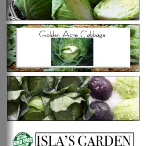 Golden Acre Cabbage Seeds for Planting, 500+ Heirloom Seeds Per Packet, (Isla's Garden Seeds), Non GMO Seeds, Botanical Name: Brassica oleracea